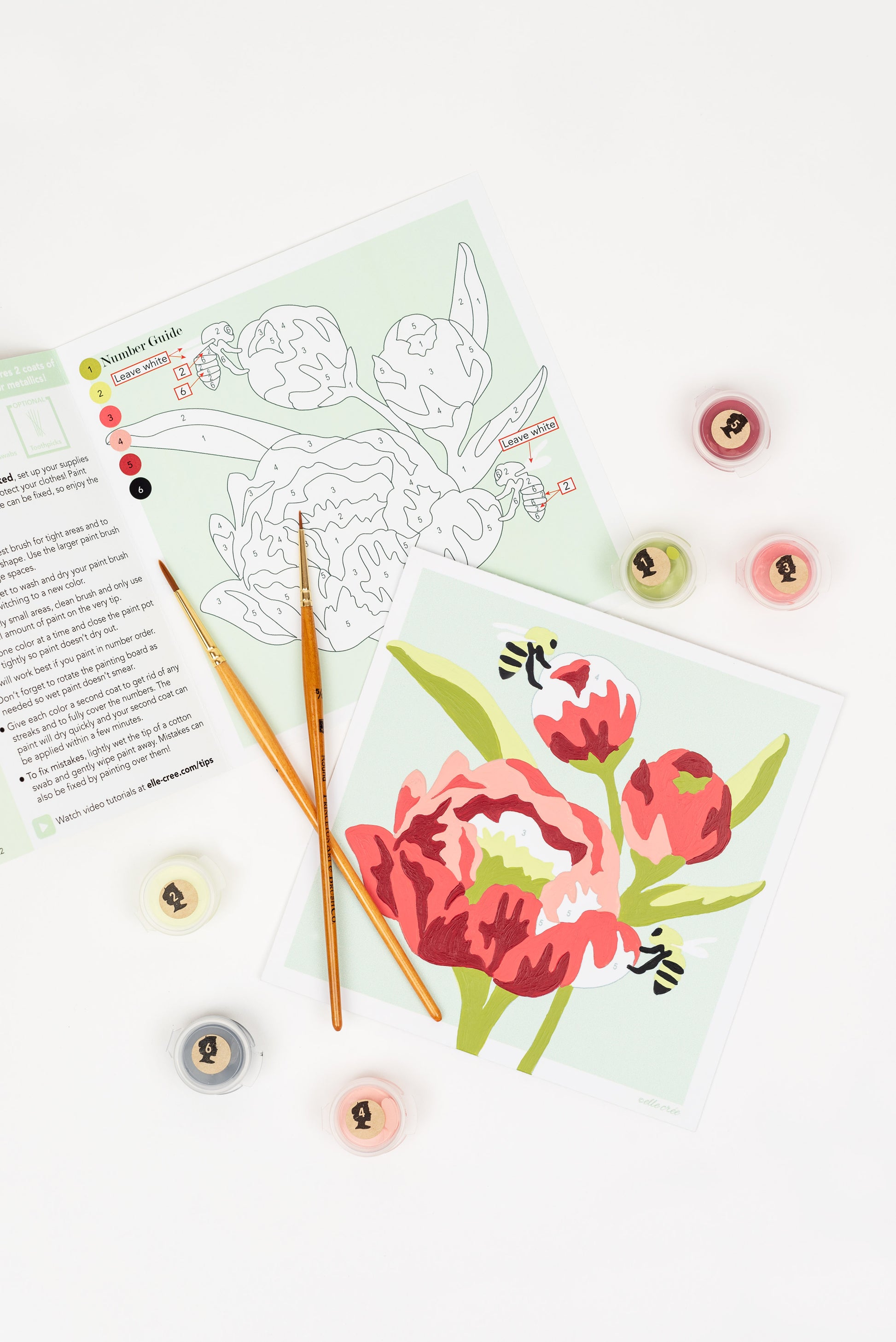 Peonies | 6x6 mini paint-by-number kit - Elle Crée