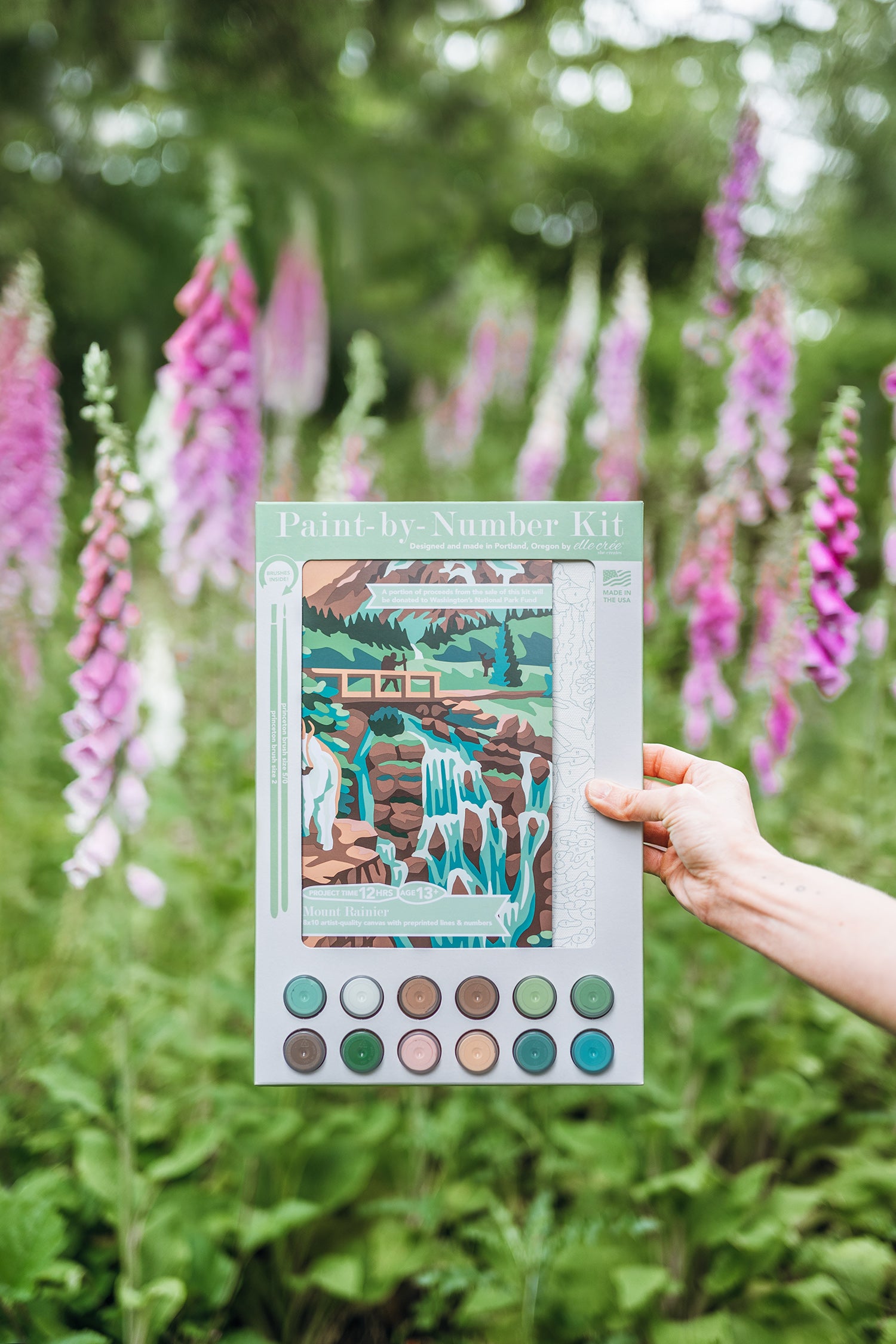 Hand holding a Mount Rainier paint-by-number kit in a field of purple foxgloves.