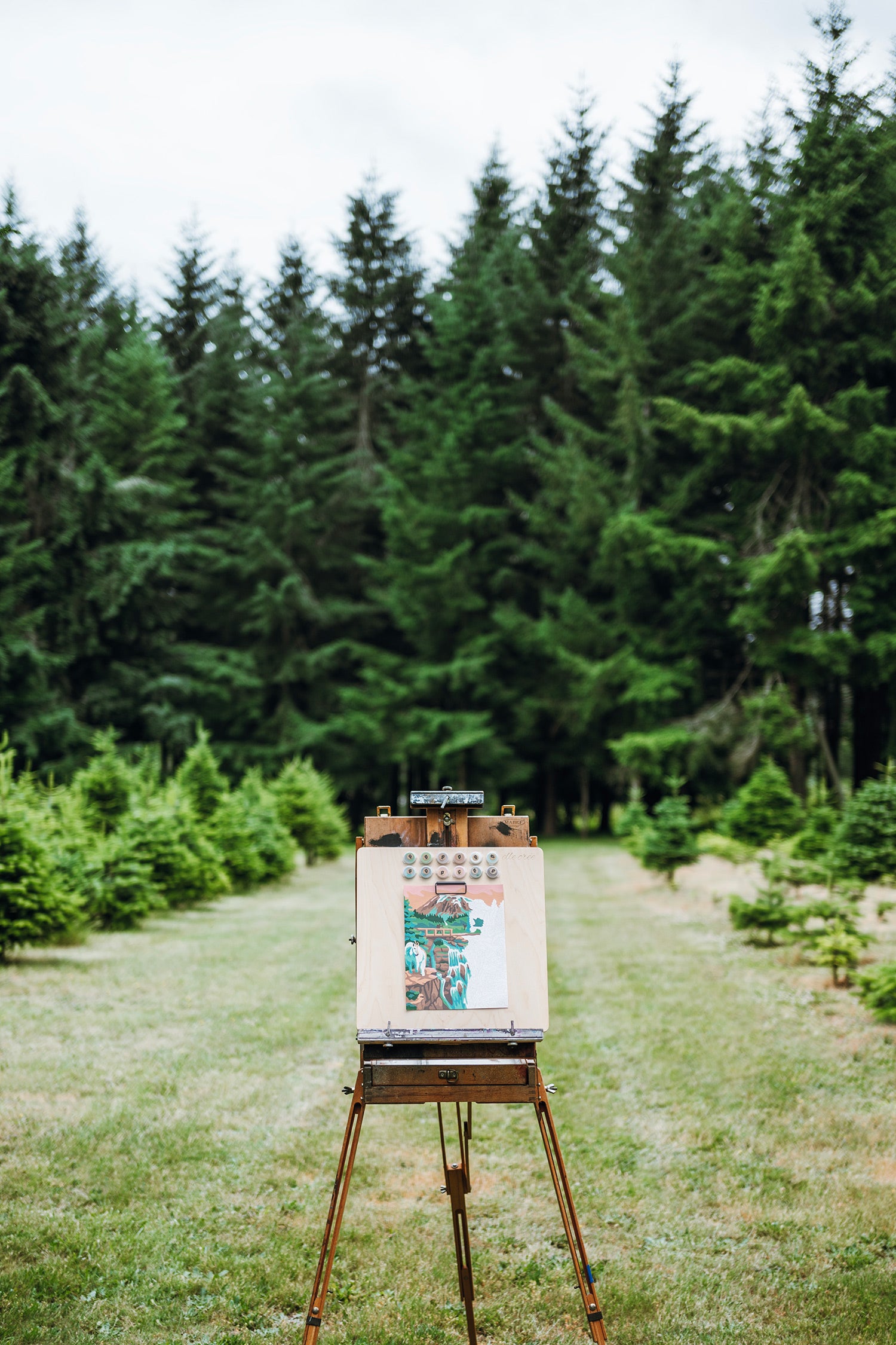 Mount Rainier paint-by-number kit on an easel in the middle of a field.