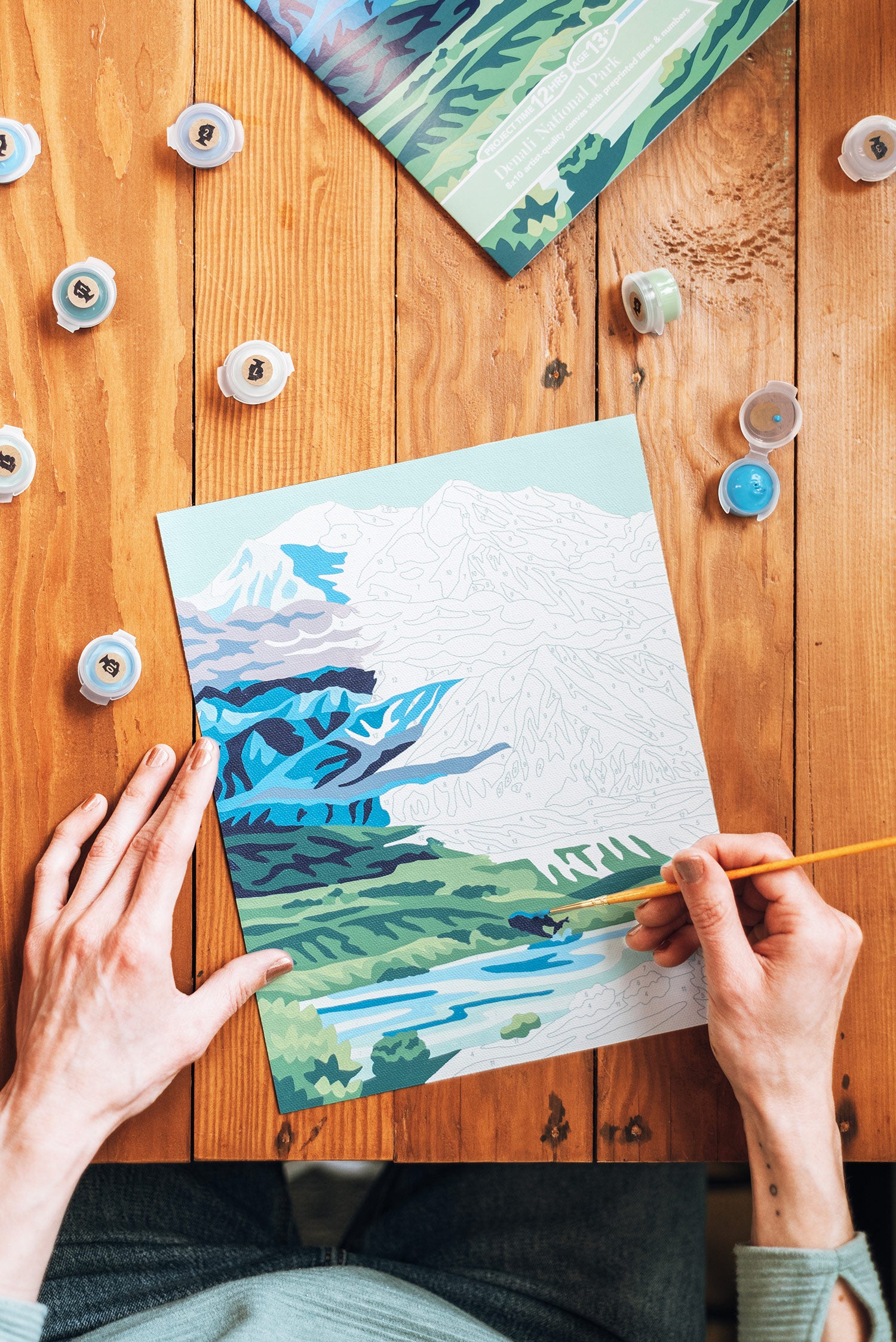 Denali National Park | 8x10 paint-by-number kit - Elle Crée