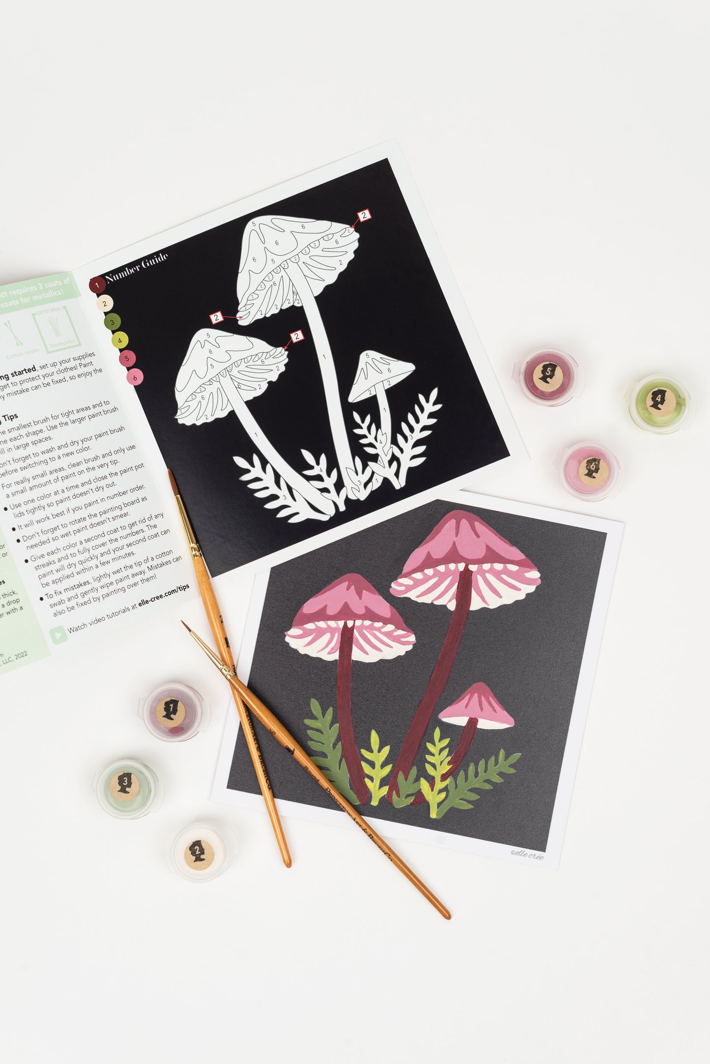 Bleeding Fairy Helmet Mushrooms | 6x6 mini paint-by-number kit - Elle Crée