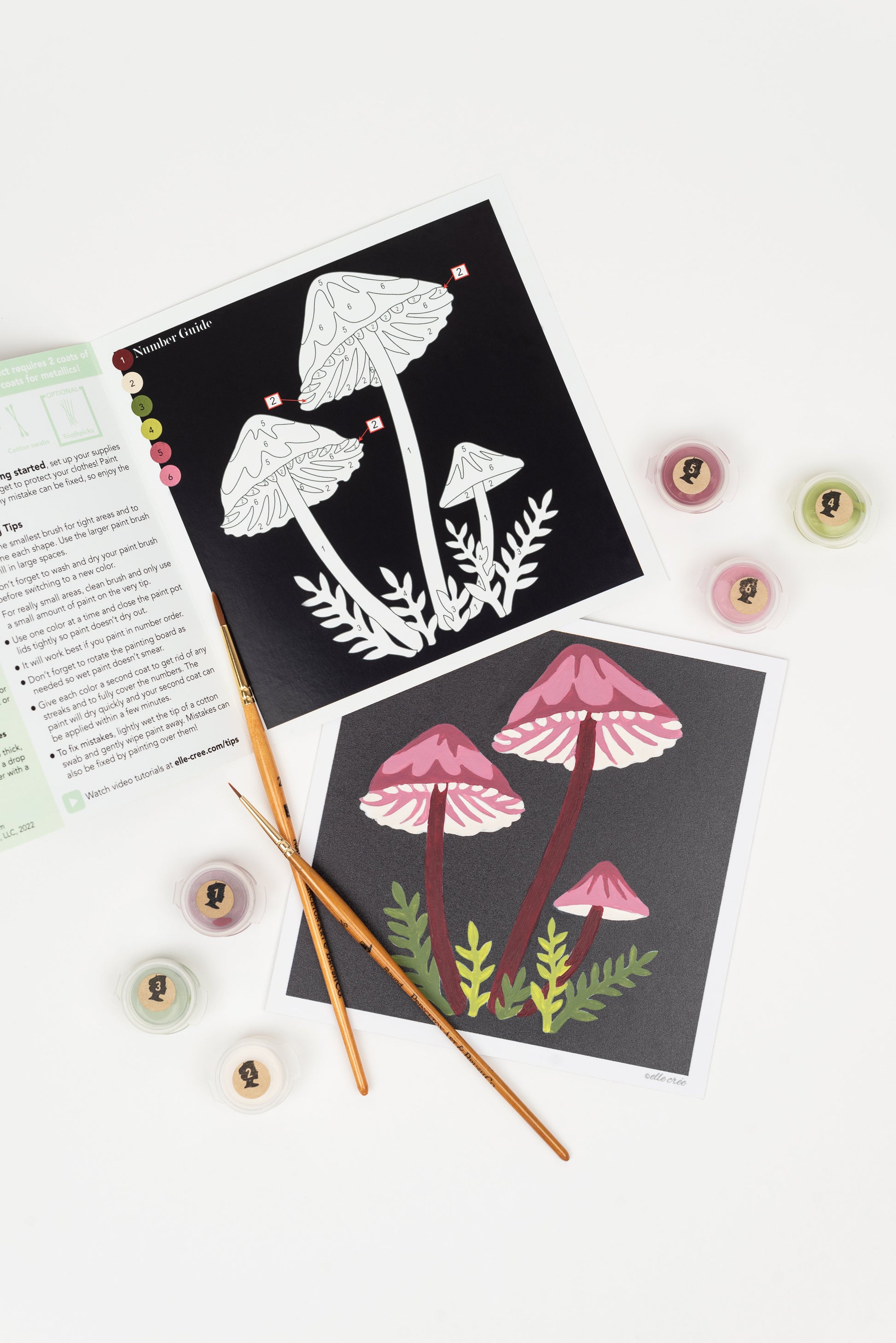 Bleeding Fairy Helmet Mushrooms | 6x6 mini paint-by-number kit - Elle Crée