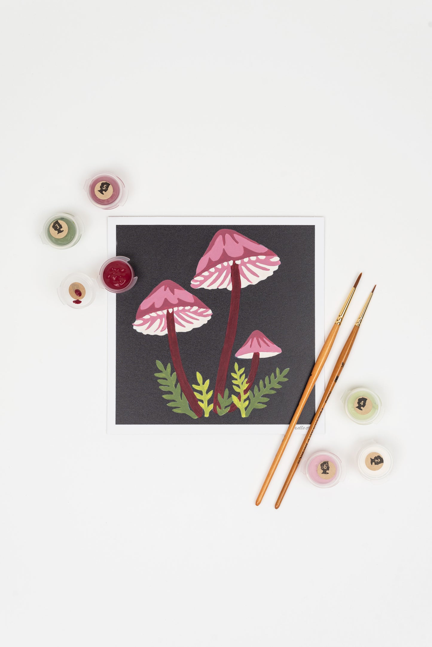 Bleeding Fairy Helmet Mushrooms | 6x6 mini paint-by-number kit - Elle Crée