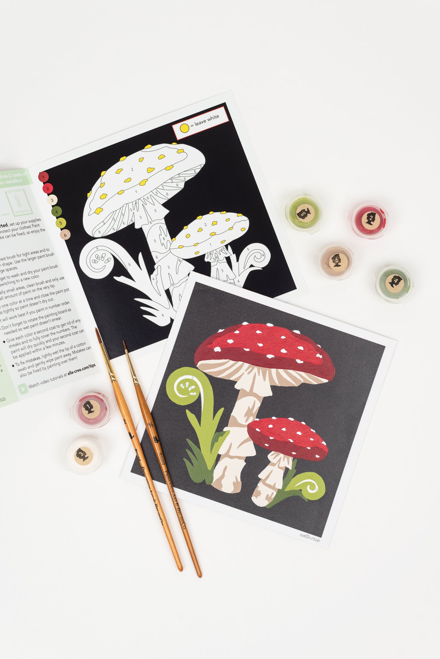 Fly Agaric Mushrooms | 6x6 mini paint-by-number kit - Elle Crée