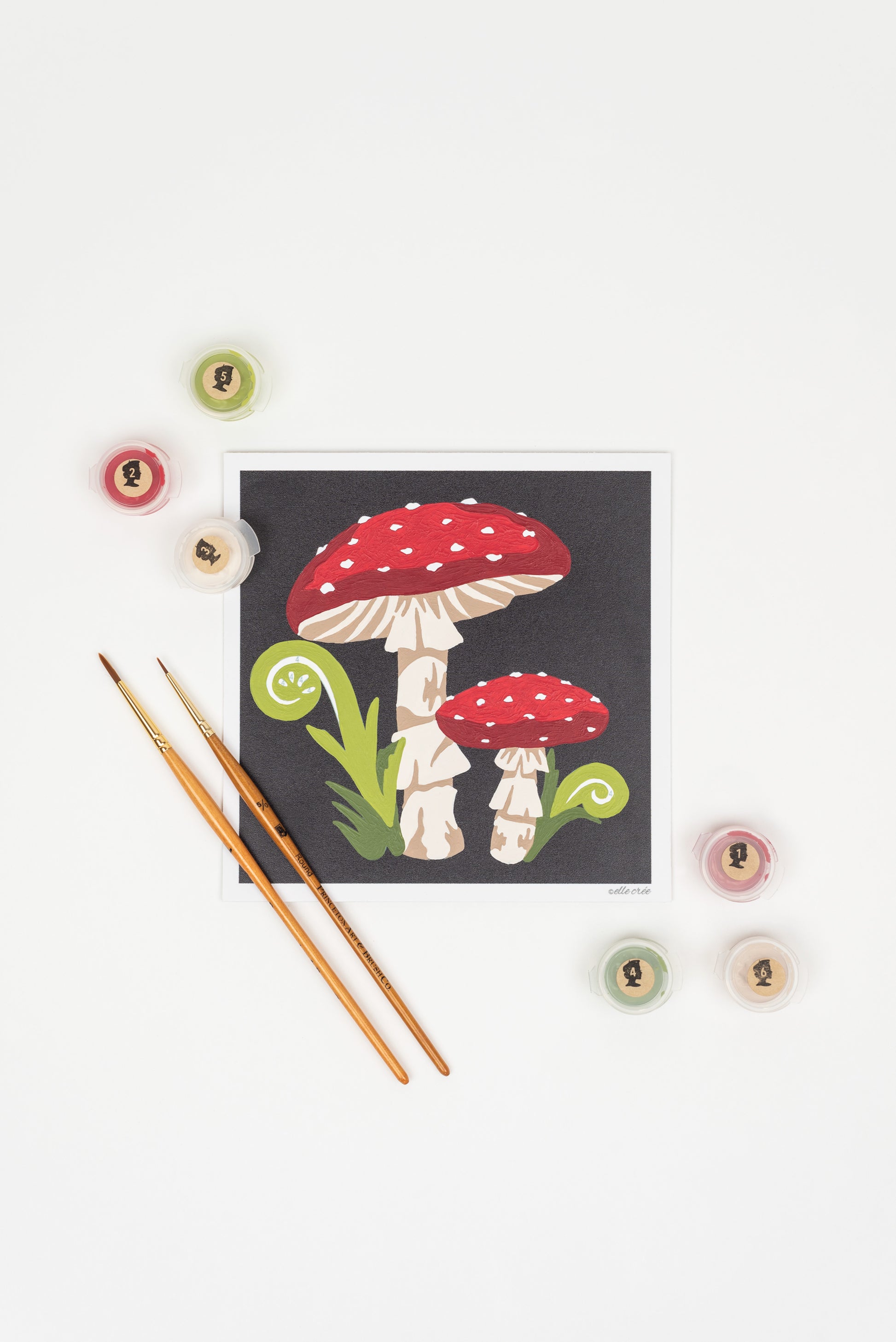 Fly Agaric Mushrooms | 6x6 mini paint-by-number kit - Elle Crée