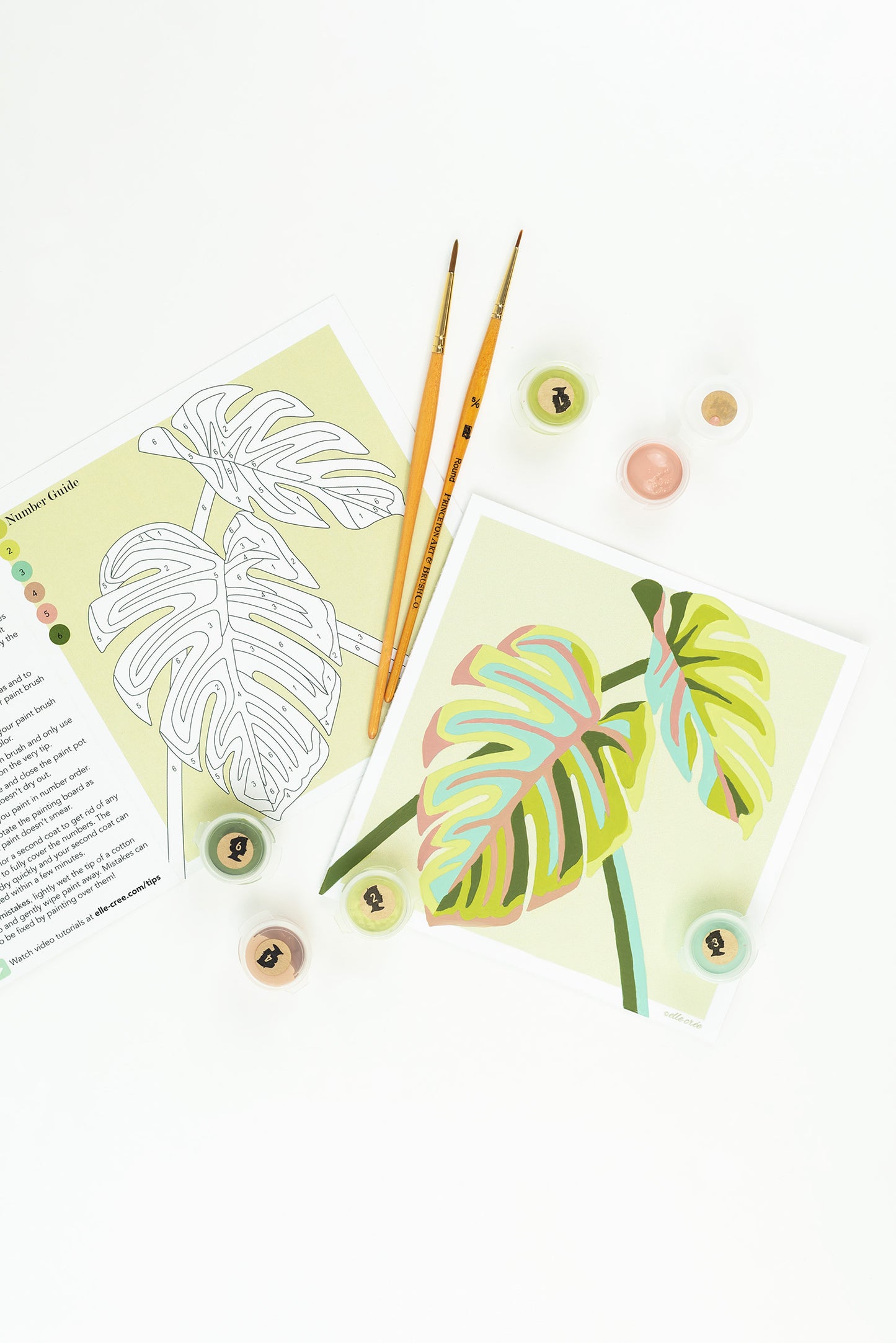 Monstera Leaves | 6x6 mini paint-by-number kit - Elle Crée