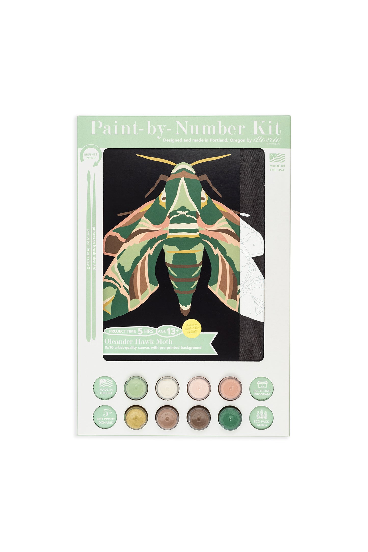 Oleander Hawk Moth | 8x10 paint-by-number kit - Elle Crée