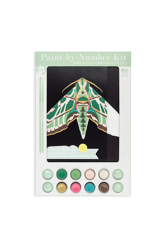 Banded Sphinx Moth | 8x10 paint-by-number kit - Elle Crée