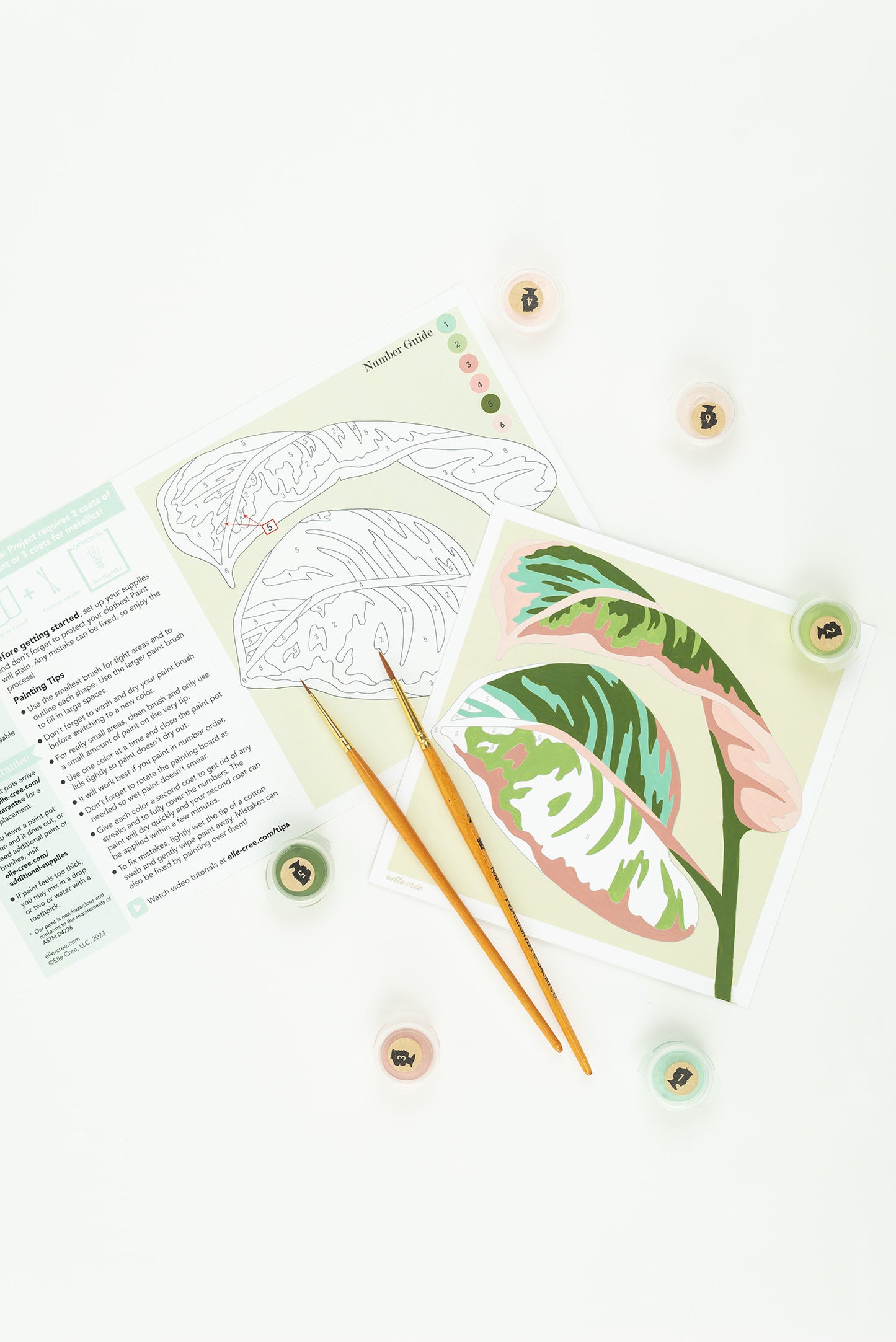 Rubber Plant Leaves | 6x6 mini paint-by-number kit - Elle Crée