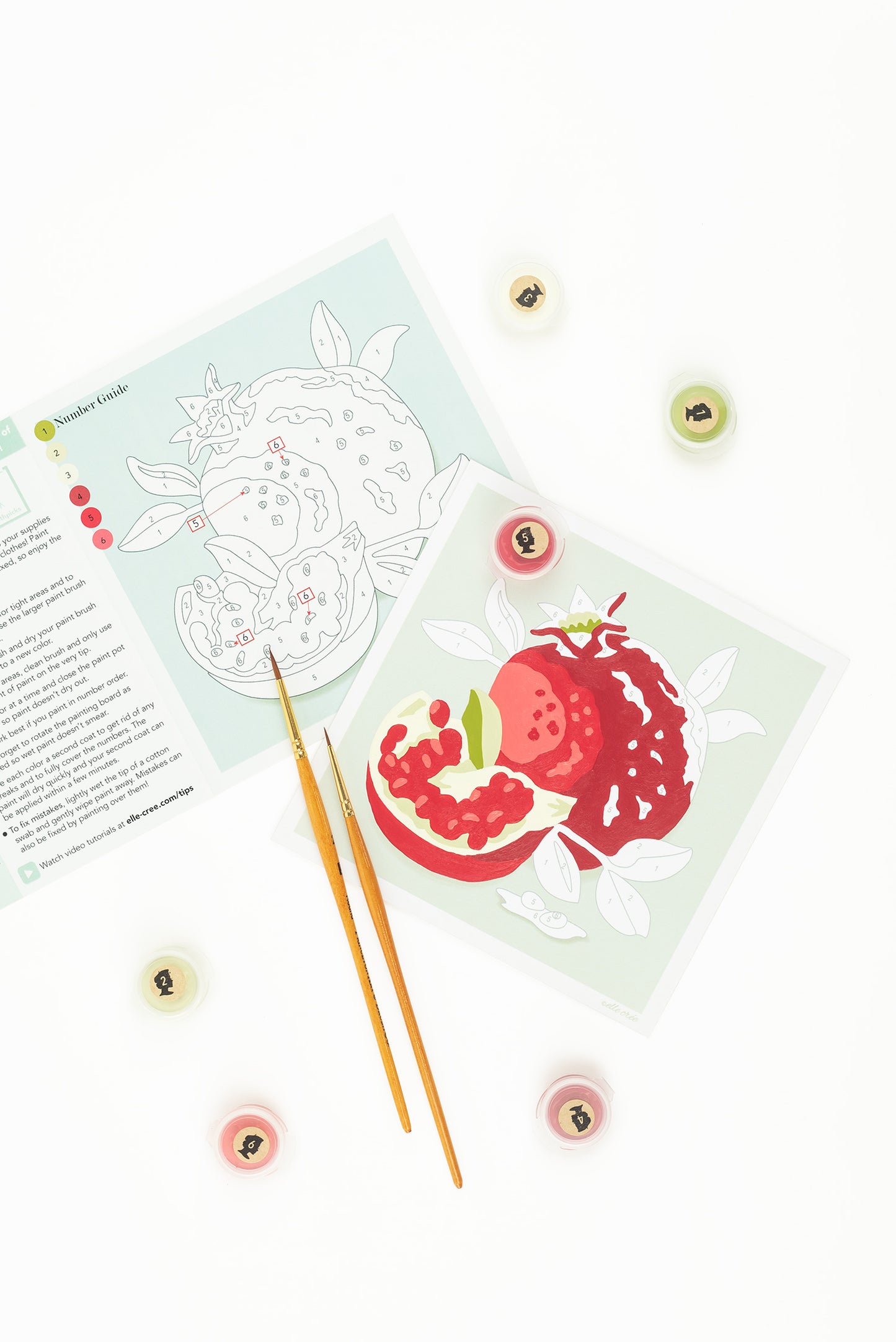 Pomegranates | 6x6 mini paint-by-number kit - Elle Crée