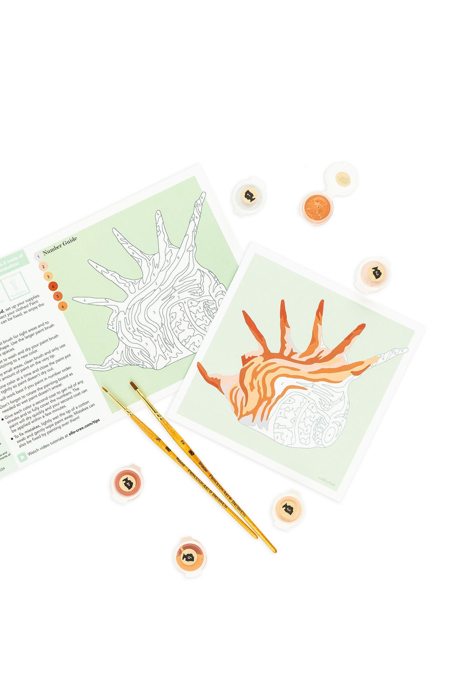 Spiny Conch Shell | 6x6 mini paint-by-number kit - Elle Crée