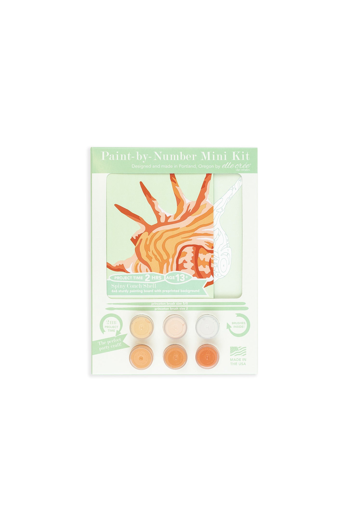 Spiny Conch Shell | 6x6 mini paint-by-number kit - Elle Crée