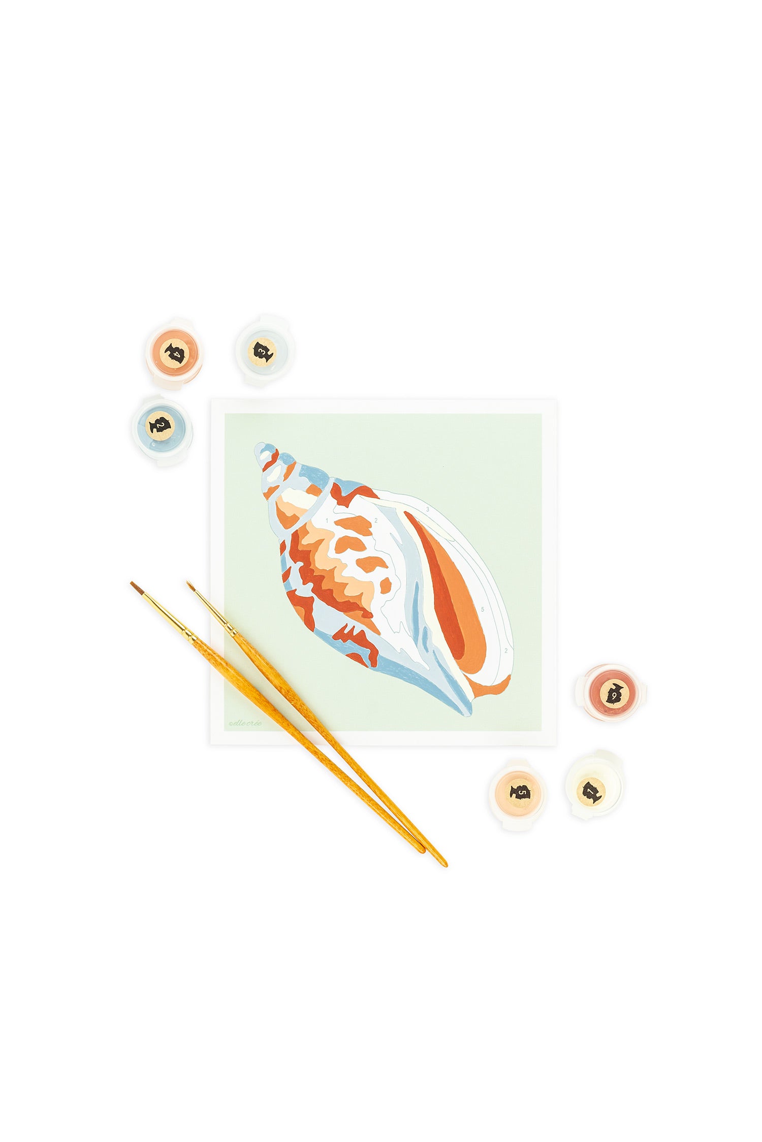 Voluta Shell | 6x6 mini paint-by-number kit - Elle Crée