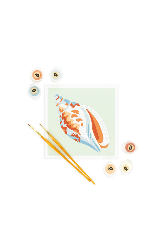 Voluta Shell | 6x6 mini paint-by-number kit - Elle Crée