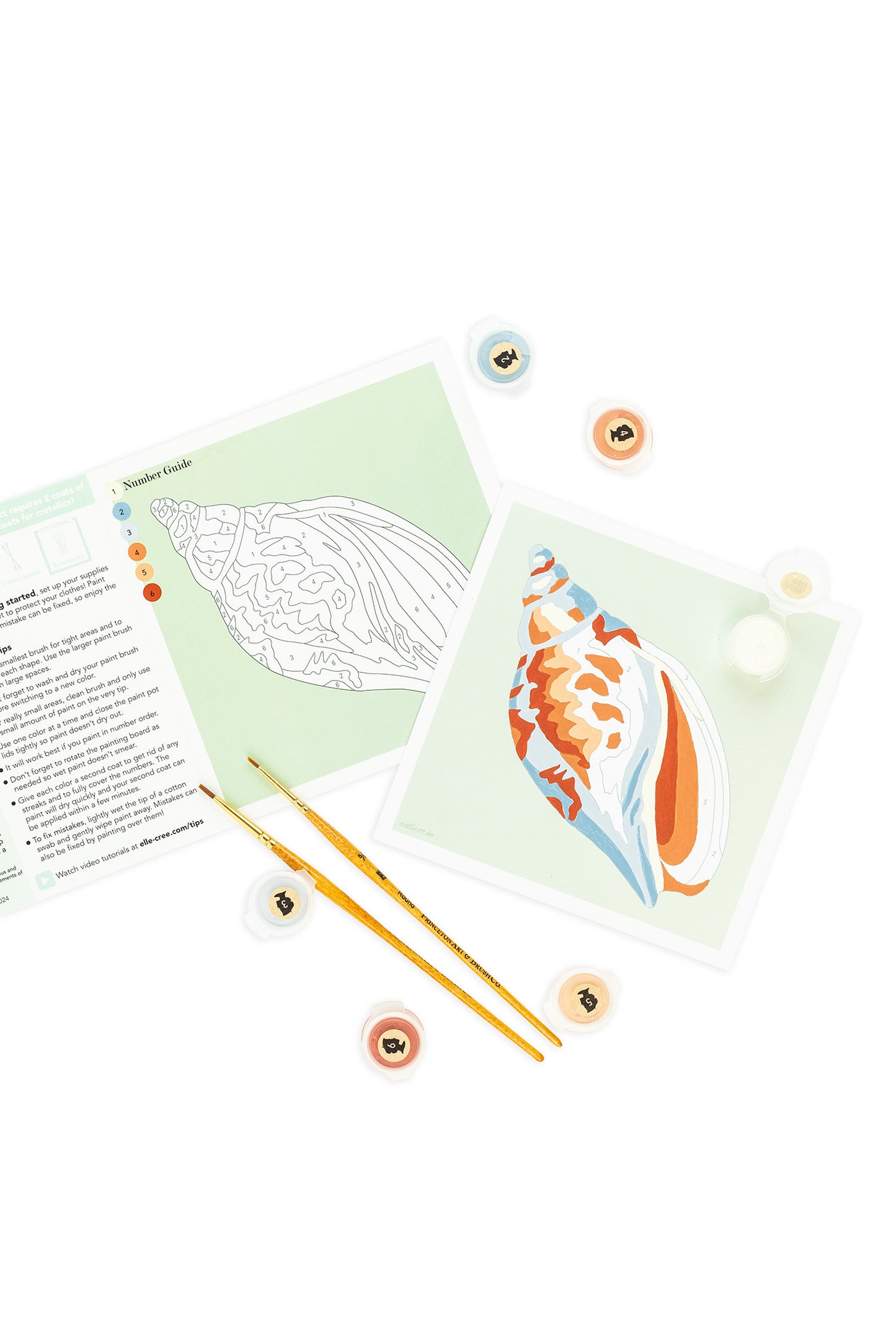 Voluta Shell | 6x6 mini paint-by-number kit - Elle Crée