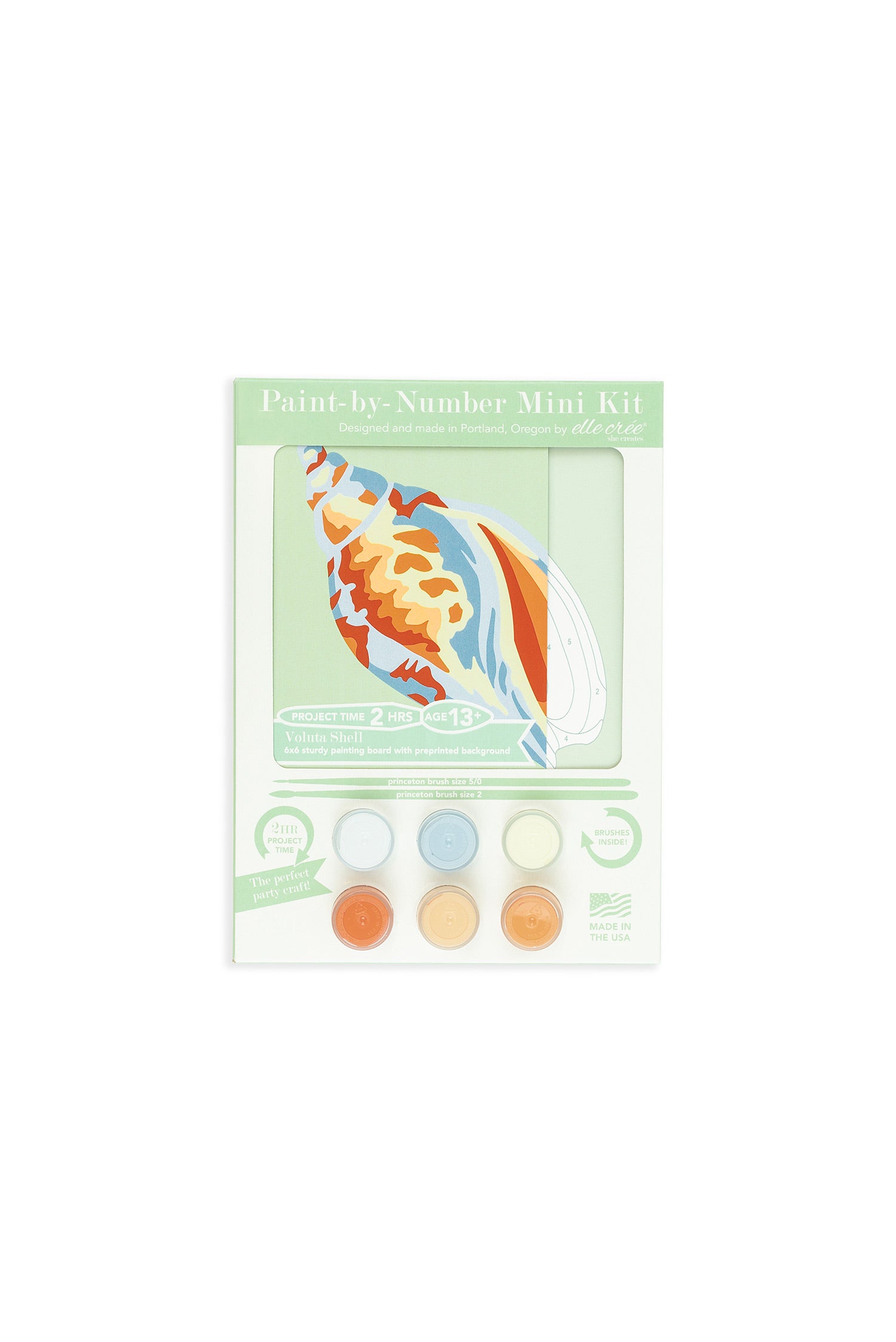 Voluta Shell | 6x6 mini paint-by-number kit - Elle Crée