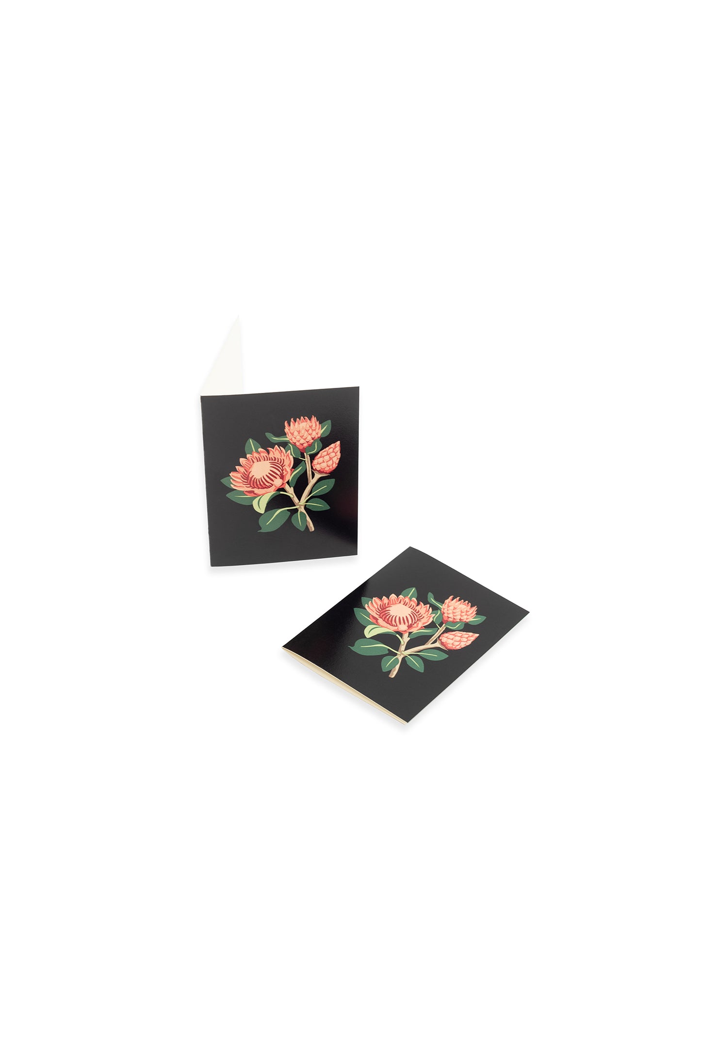 King Protea blooms mini card by Elle Crée