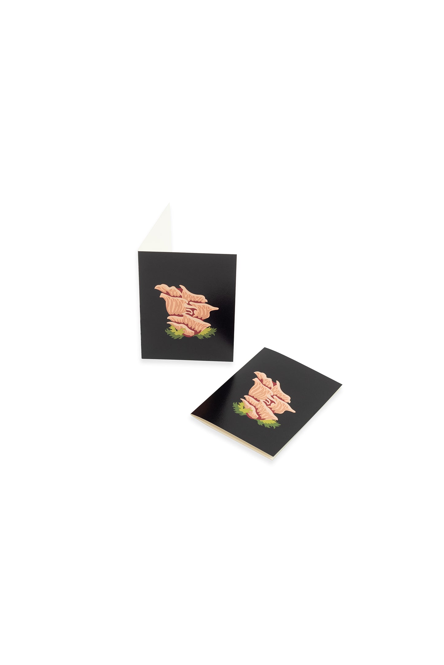 Pink oyster mushroom mini card from Elle Crée