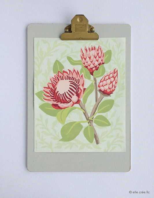 King Protea Blooms | 8x10 paint-by-number kit - Elle Crée