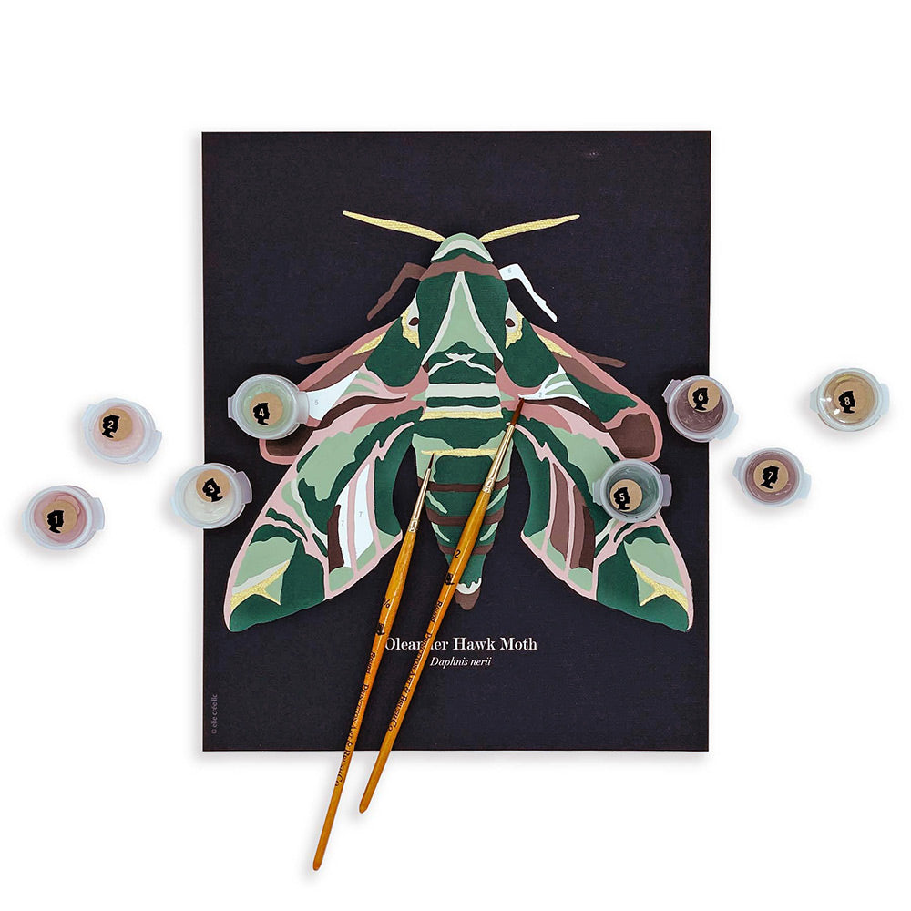 Oleander Hawk Moth | 8x10 paint-by-number kit - Elle Crée