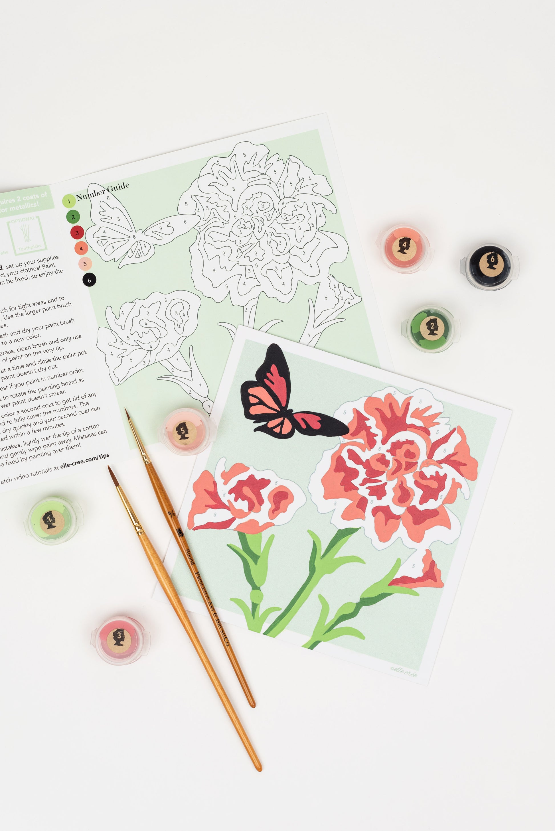 Carnations | 6x6 mini paint-by-number kit - Elle Crée