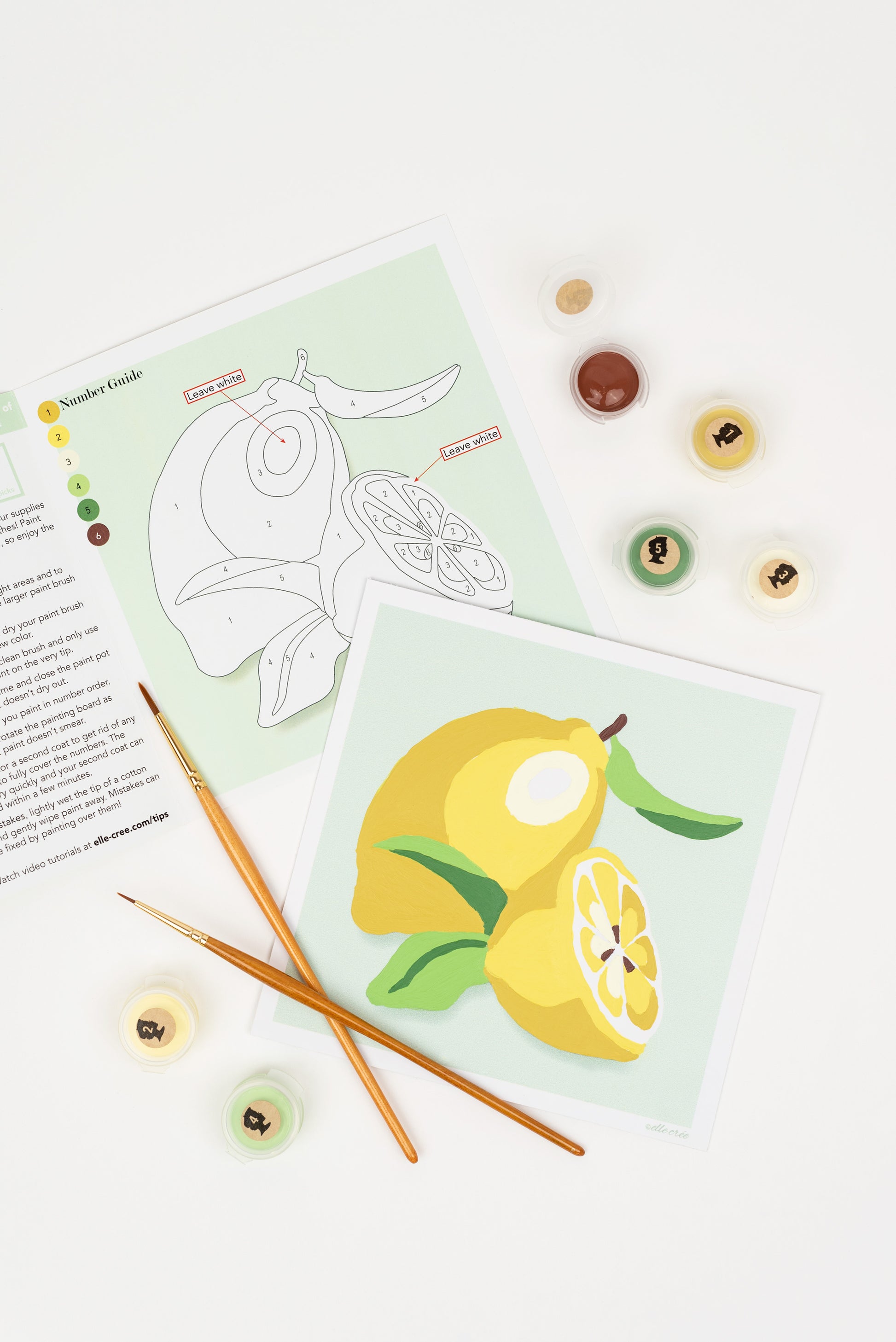 Lemons | 6x6 mini paint-by-number kit - Elle Crée