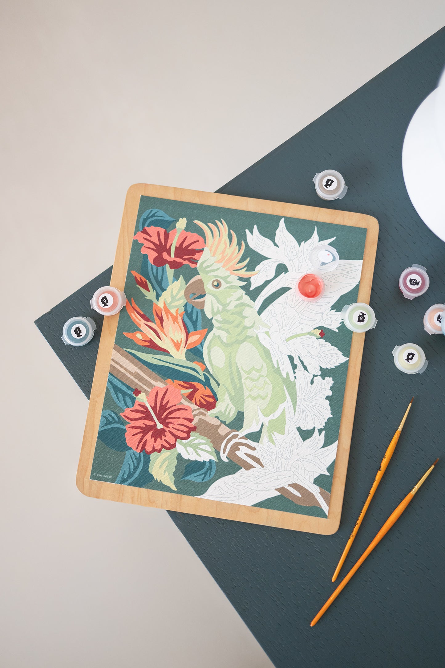 Perched in Paradise | 8x10 paint-by-number kit