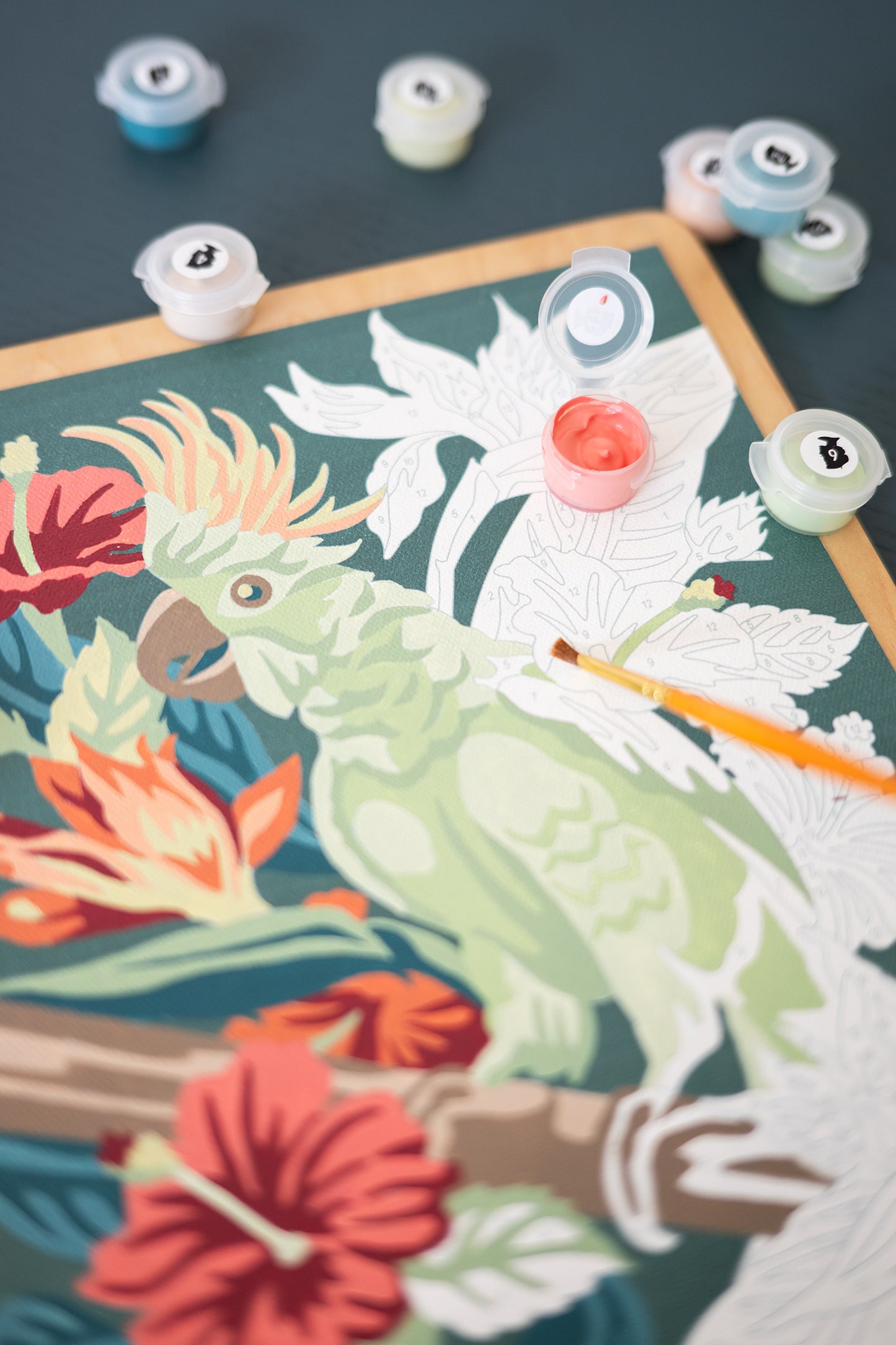 Perched in Paradise | 8x10 paint-by-number kit