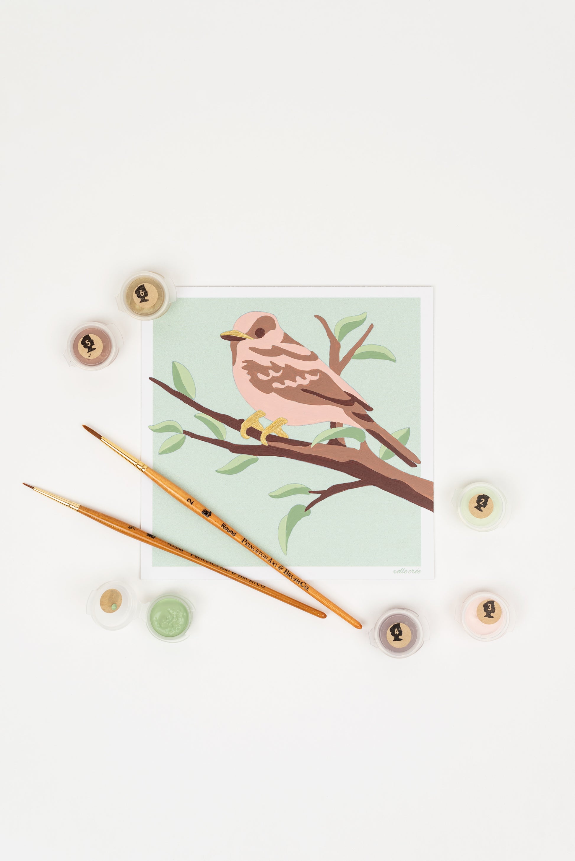 Sparrow | 6x6 mini paint-by-number kit - Elle Crée
