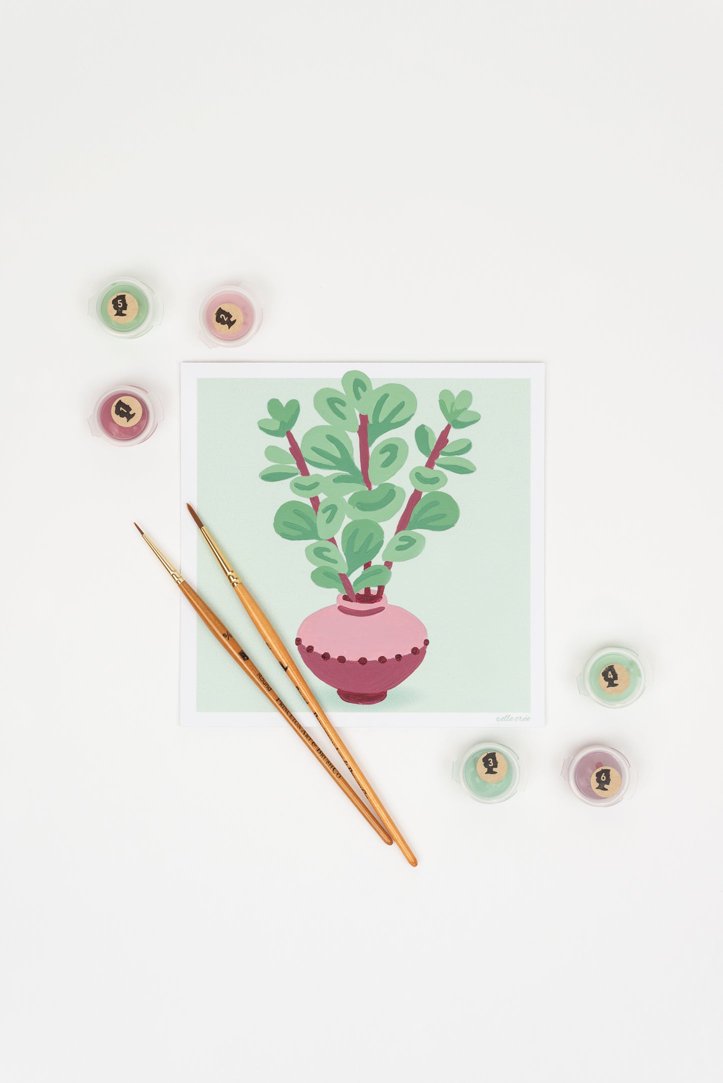 Succulent Stems | 6x6 mini paint-by-number kit - Elle Crée