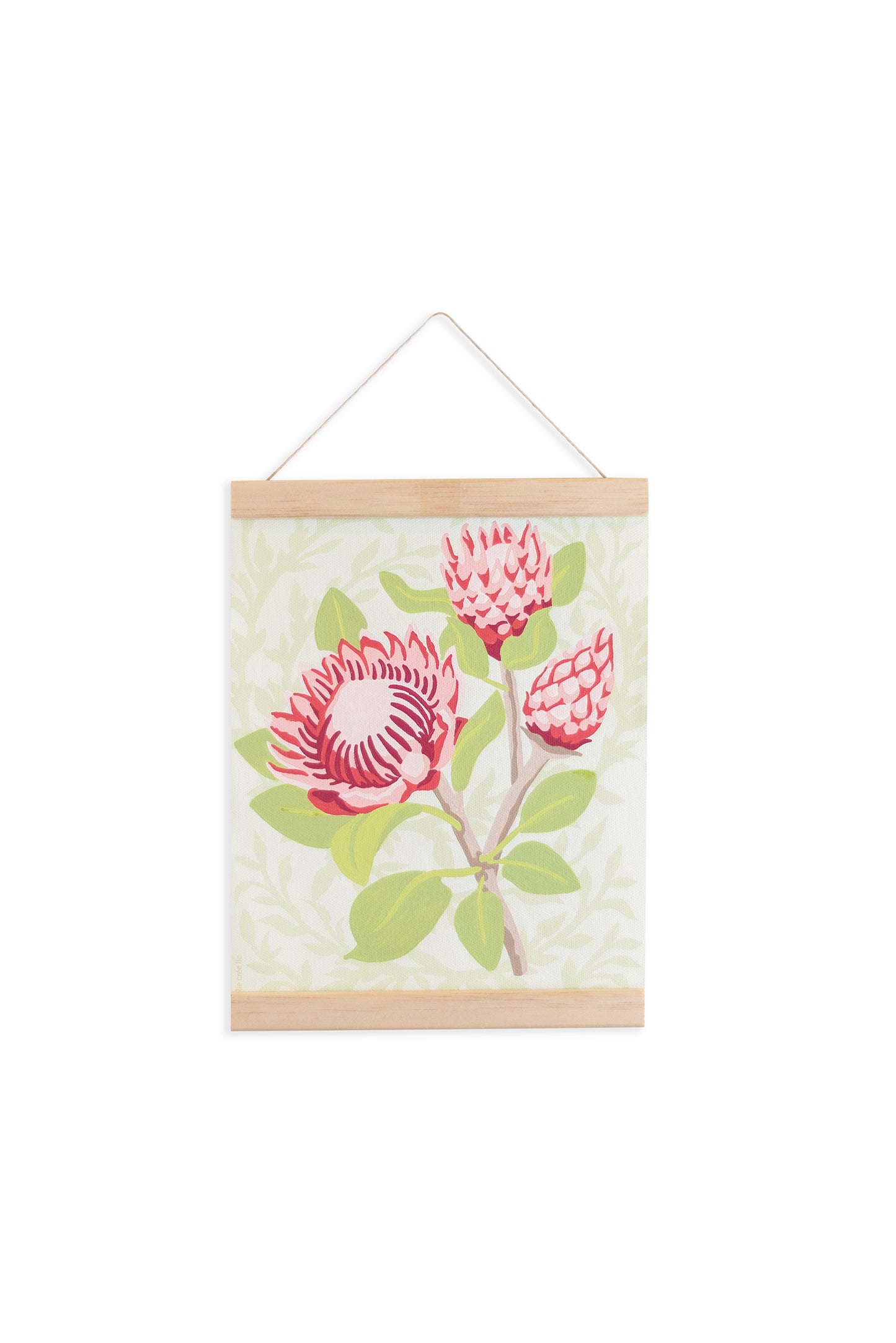 Magnetic Hanger Picture Frame 8" holding 8x10 Protea Paint-by-Number Kit