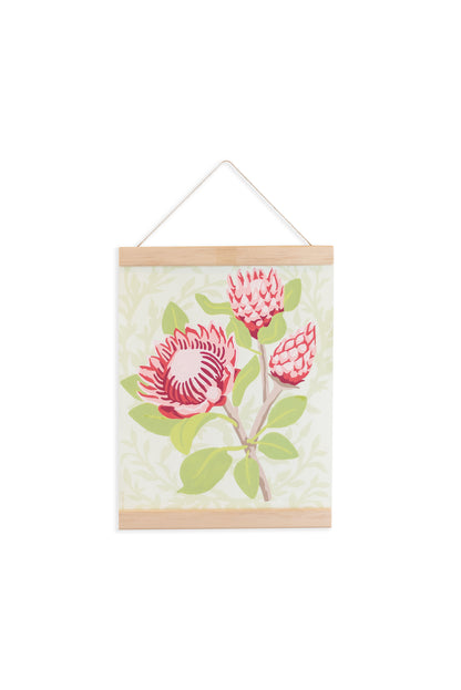 Magnetic Hanger Picture Frame 8" holding 8x10 Protea Paint-by-Number Kit