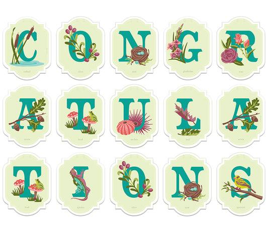 CONGRATULATIONS | paint-by-number banner kit