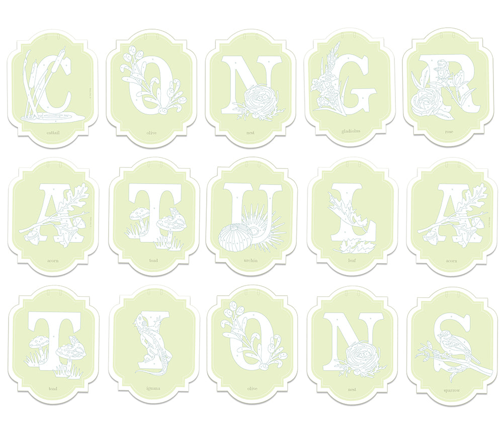 CONGRATULATIONS | paint-by-number banner kit