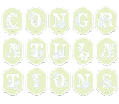 CONGRATULATIONS | paint-by-number banner kit