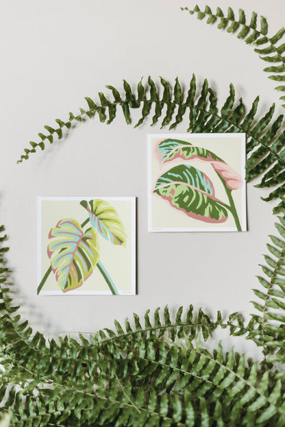 Rubber Plant Leaves | 6x6 mini paint-by-number kit - Elle Crée