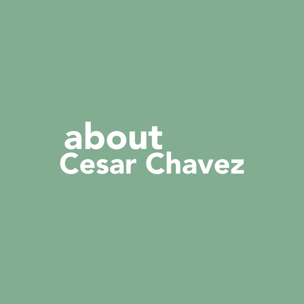 Square green graphic that reads "about Cesar Chavez" in white sans serif font.